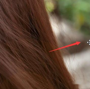 换了主机以后鼠标点不动了