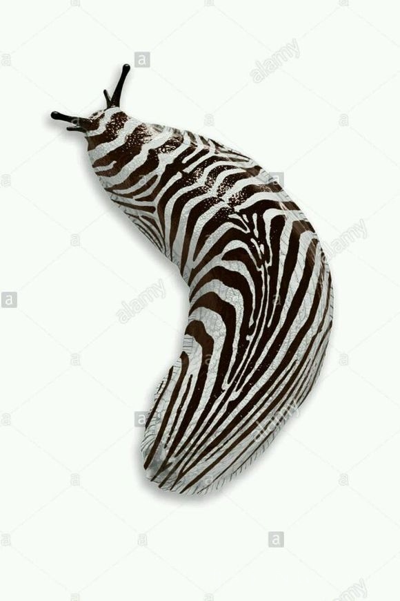 哈曼小主机灰色