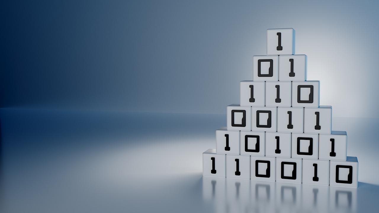 可分配给子网中的主机